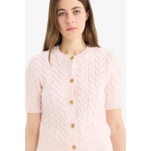Regular Fit Bisiklet Yaka Triko Kısa Kollu Hırka E6882AX25SM
