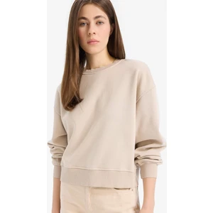 Boxy Fit Bisiklet Yaka Basic Düz Kalın Sweatshirt E4732AX25SP