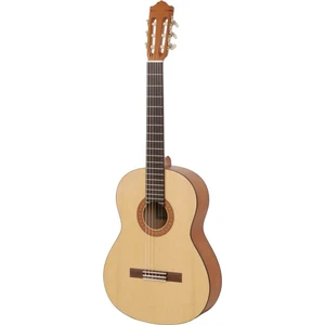 C30 Klasik Gitar ( Kılıf ve Pena Hediye )