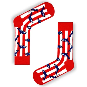 Carnaval Socks Yunus Desenli Renkli Çorap