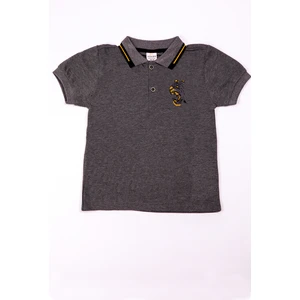 Erkek Çocuk Tshirt Polo Yaka A7