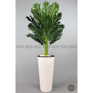 150 cm Areka Ağacı Kumsal Saksıda