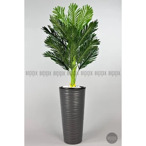 150 cm Areka Ağacı Kumsal Saksıda