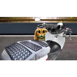 Kedi yatmaz Gri Scooter Boy Scooter Için Dikenli Sele Kılıfı Kedi ve Çocuk Önleyici Kılıf - Kediyatmaz