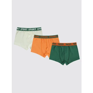 Civil Boys Erkek Çocuk 3'lü Boxer Set 2-10 Yaş Yeşil