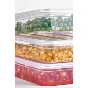 Follow Me Deepfreezer Organizer Saklama Kabı Büyük (2.4 Lt)