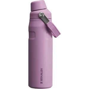 The Aerolight Iceflow™ Bottle 710 ml