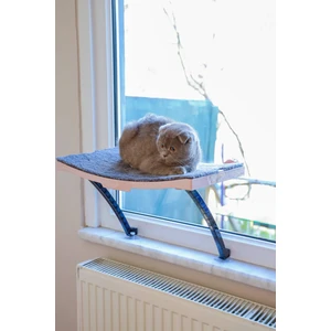 Genel Tedarik Kedi Yatağı Cam Ve Duvar
