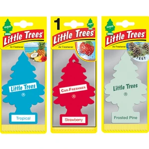 Little Trees Oto Asma Kokusu Çilek & Buzlu Çam Frosted Pine & Tropical