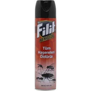 Filit Aerosol Kokulu Sinek Ilacı