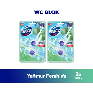 Tuvalet Bloğu Yağmur Ferahlığı 100 gr x2