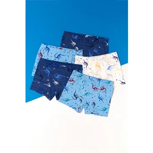 Erkek Çocuk 5'li Paket Dinazor Baskılı Boxer