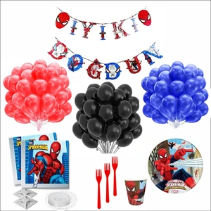 ÖRÜMCEK ADAM 8 KİŞİLİK DOĞUM GÜNÜ SETİ