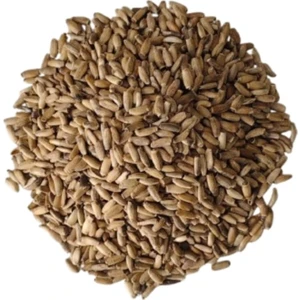 Kenger (Yabani Enginar) Tohumu 250 gr