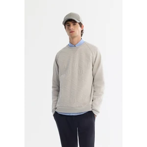 Erkek Gri Bisiklet Yaka Baskılı Elastan Sweatshirt A42y1335