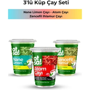 3x Doğal Enerji Nane Ferahlığı, Limon Tazeliği, Zencefil Ve Zerdeçallı Şifalı Bitki Çayları