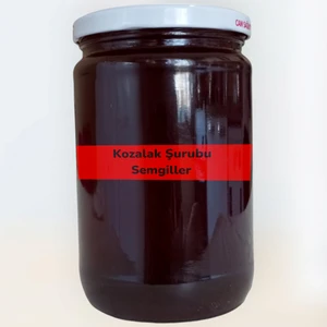 Organik Saf Çam Kozalak Şurubu Katkısız 700 gr Şekersiz