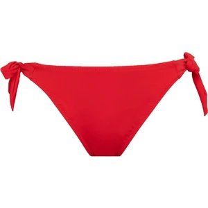 Regular Fit Bikini Altı-Fall in Love B7509AX24SM