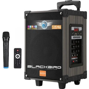 Game Center Taşınabilir Şarjlı 8 İnç 40W Bluetooth Hoparlör Hepu Hp-924
