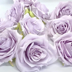 Anamur Naturel Tüplü Yediveren Eflatun Renk Lila Salzburg Yoğun Kokulu Gül Fidanı