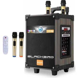 Game Center Taşınabilir Şarjlı 12 İnç 40W Bluetooth Hoparlör Acl Acs-24