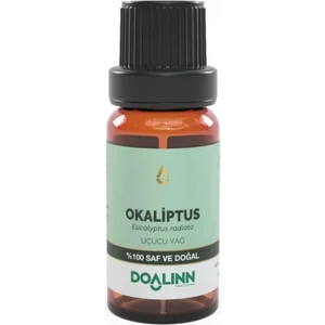 Okoliptus Radiata Uçucu Yağı 10 ml