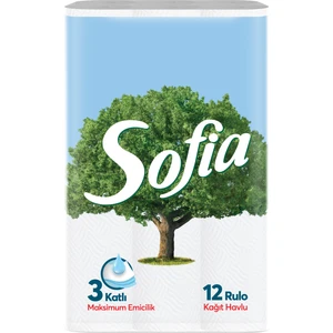 Kağıt Havlu 12'li