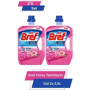 Yüzey Temizleyici Gül 2x 2.5 lt 2'li Set