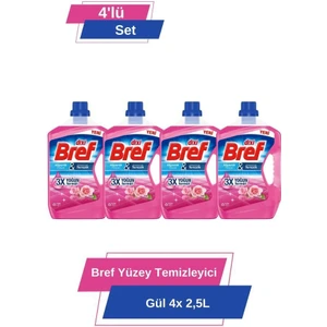 Yüzey Temizleyici Gül 4x 2.5 lt 4'lü Set