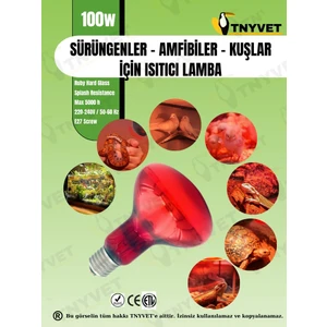 100 Watt Kızılötesi / Kırmızı Işık Isıtıcı Lambalar Sürüngenler, Amfibiler Ve Kuşlar Için