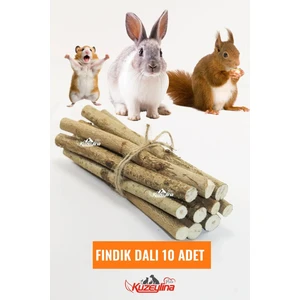 Kemirgenler Için Fındık Dalı - 10 Adet