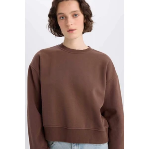 Boxy Fit Bisiklet Yaka Basic Düz Kalın Sweatshirt E4732AX25SP