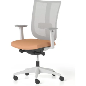 Move Çalışma Koltuğu, Plastik Ayak, Gri & Somon