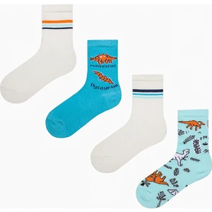 Erkek Çocuk Mesozoic Era Çok Renkli 4lü Soket Çorap