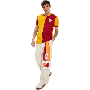 Gs Store Galatasaray Erkek  Metin Oktay T-Shirt E88098