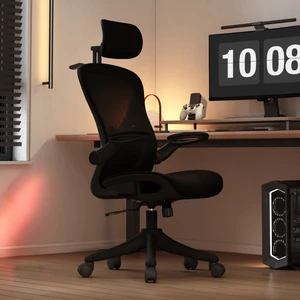 Karr Office Oslo Plus Çalışma Koltuğu