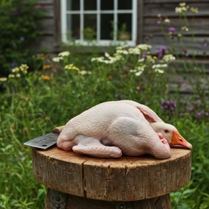 Kars Kazı (2,3 - 2,5 Kg)