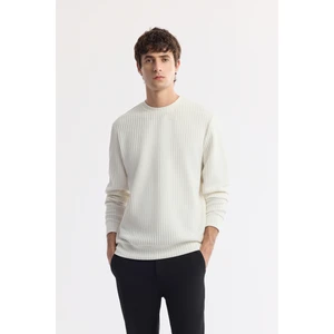 Erkek Regular Fit Ekru Bisiklet Yaka Jakarlı Elastan Sweatshirt A51Y1230
