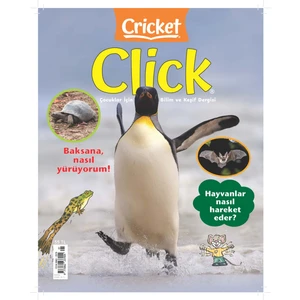 Clıck Sayı  1 