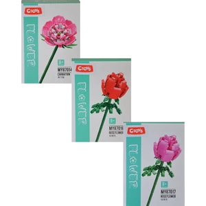 Rose ve Carnation Flower Block 3lü Set