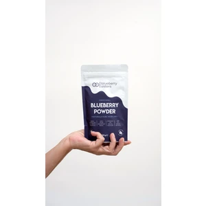 Blueberry Sisters %100 Yabanmersini Tozu 100 gr