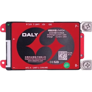 Smart 16S 48V 100A CAN/RS485 Lifepo4 Bms