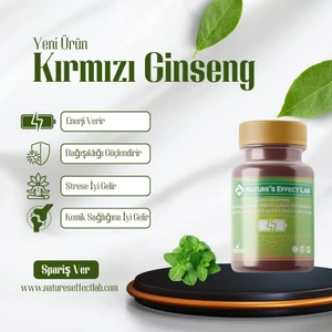 Power Performance Bitkisel Gıda Takviyesi Epimedyum 30 Kapsül Gınseng Enerji Sertlik