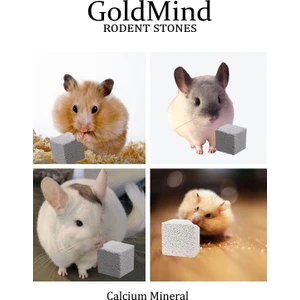 Gold Mind Kemirgen Taşı (6’lı Paket) Kemirme Taşı, Diş Törpüsü,  Kalsiyum Mineralli Yalama Taşı.(6Adet)