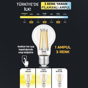E27 LED FİLAMANLI RUSTIK AMPUL A60 ŞEFFAF 6W 3 RENK ERD-261