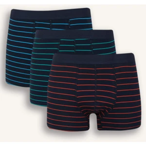 Regular Fit Çizgili 3'lü Boxer E2918AX25SP