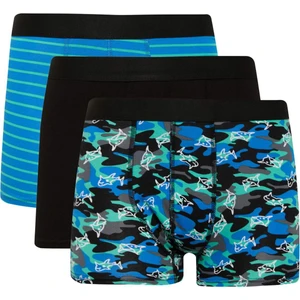 Regular Fit Kamuflaj Desenli 3'lü Boxer E2929AX25SP