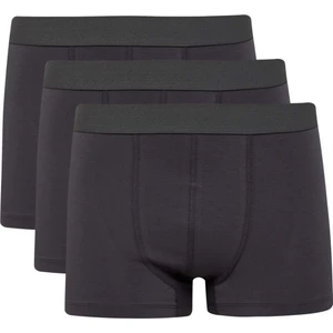 Regular Fit 3'lü Boxer E2914AX25SP