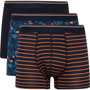 Regular Fit Floral 3'lü Boxer E2923AX25SP