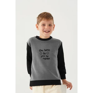 Erkek Çocuk 3 Iplik Şardonsuz Nakışlı Sweatshirt (4 Yaş - 5 Yaş)